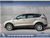 2017 Ford Escape Titanium (Stk: P1598) in Canmore - Image 3 of 27
