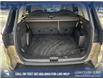 2017 Ford Escape Titanium (Stk: P1598) in Canmore - Image 12 of 27