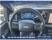 2023 Ford F-350 Platinum (Stk: P6884) in Olds - Image 13 of 24