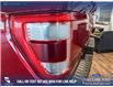 2021 Ford F-150 Lariat (Stk: P14895) in Airdrie - Image 11 of 25