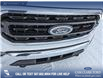 2023 Ford F-150 XLT (Stk: P6937) in Olds - Image 9 of 24