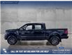 2025 Ford F-150 Tremor (Stk: P14906) in Airdrie - Image 3 of 25