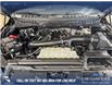 2025 Ford F-150 King Ranch (Stk: P14916) in Airdrie - Image 10 of 25
