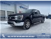 2022 Ford F-150 Lariat (Stk: P6962) in Olds - Image 1 of 5