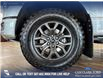 2025 Ford F-150 Tremor (Stk: P14904) in Airdrie - Image 6 of 25