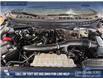 2025 Ford F-150 Tremor (Stk: P14904) in Airdrie - Image 10 of 25