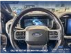 2025 Ford F-150 Lariat (Stk: P14907) in Airdrie - Image 14 of 25