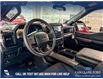 2024 Ford F-150 STX (Stk: RC20056) in Airdrie - Image 13 of 25
