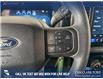 2024 Ford F-150 STX (Stk: RC20056) in Airdrie - Image 16 of 25