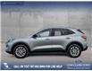 2022 Ford Escape SE (Stk: P1182) in Innisfail - Image 3 of 17