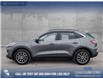 2022 Ford Escape PHEV Titanium (Stk: P1183) in Innisfail - Image 3 of 19