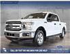 2018 Ford F-150 XLT (Stk: P15026) in Airdrie - Image 1 of 24
