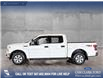 2018 Ford F-150 XLT (Stk: P15026) in Airdrie - Image 3 of 24