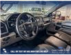 2018 Ford F-150 XLT (Stk: P15026) in Airdrie - Image 13 of 24