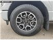 2023 Ford F-150 XLT (Stk: U38042) in Red Deer - Image 6 of 25