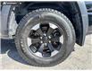 2023 RAM 1500 Rebel (Stk: P1636) in Canmore - Image 6 of 26