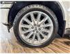 2019 Ford F-150 Limited (Stk: P15103) in Airdrie - Image 6 of 25