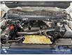 2019 Ford F-150 Limited (Stk: P15103) in Airdrie - Image 10 of 25