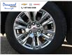2023 GMC Sierra 1500 Denali (Stk: 38569) in Wainwright - Image 29 of 29