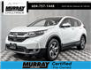 2019 Honda CR-V EX-L (Stk: 25D566A) in Chilliwack - Image 1 of 36