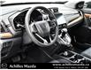 2019 Honda CR-V EX (Stk: DH354B) in Milton - Image 10 of 28