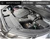 2024 Hyundai Palisade Urban 7 Passenger (Stk: 31715B) in Barrie - Image 18 of 50