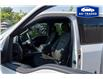 2015 Ford F-150  (Stk: R26823B) in Ottawa - Image 13 of 25