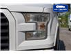 2015 Ford F-150  (Stk: R26823B) in Ottawa - Image 4 of 25