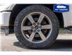 2015 Ford F-150  (Stk: R26823B) in Ottawa - Image 3 of 25