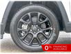 2026 Jeep Compass North (Stk: 15-26257) in London - Image 10 of 29
