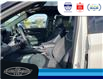 2025 Ford Explorer ST (Stk: SPEX00186) in Leamington - Image 14 of 31