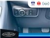 2025 Ford Explorer ST (Stk: SPEX00186) in Leamington - Image 20 of 31