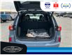 2025 Ford Escape ST-Line Select (Stk: LFEP00436) in Leamington - Image 6 of 28