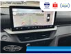 2025 Ford Explorer ST-Line (Stk: SPEX00165) in Leamington - Image 22 of 31