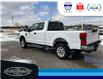 2022 Ford F-250 XLT (Stk: SPFF00208A) in Leamington - Image 8 of 32