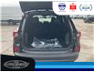 2025 Ford Escape ST-Line (Stk: SPEP00220) in Leamington - Image 6 of 27