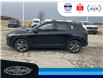 2025 Ford Escape ST-Line (Stk: SPEP00220) in Leamington - Image 8 of 27