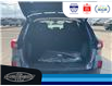 2025 Ford Escape Active (Stk: SPEP00244) in Leamington - Image 6 of 26