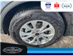 2025 Ford Escape Active (Stk: SPEP00244) in Leamington - Image 11 of 26