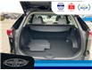 2019 Toyota RAV4 Hybrid Limited (Stk: SP00154T) in Leamington - Image 12 of 34