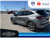 2024 Ford Escape ST-Line (Stk: SP00157T) in Leamington - Image 8 of 33