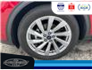 2022 Ford Escape Titanium Hybrid (Stk: SPEP00758A) in Leamington - Image 11 of 33