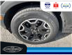 2025 Ford Bronco Sport Outer Banks (Stk: LFBS00630) in Leamington - Image 11 of 28