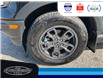 2023 Ford Bronco Sport Big Bend (Stk: SP00162T) in Leamington - Image 11 of 31