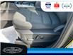 2023 Ford Bronco Sport Big Bend (Stk: SP00162T) in Leamington - Image 20 of 31