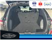 2024 Ford Escape ST-Line (Stk: SP00165T) in Leamington - Image 12 of 31
