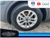 2022 Ford Escape SE (Stk: SPMV00015A) in Leamington - Image 11 of 33