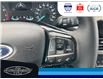 2022 Ford Escape SE (Stk: SPMV00015A) in Leamington - Image 26 of 33