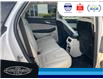 2022 Ford Edge Titanium (Stk: SP00167P) in Leamington - Image 15 of 35