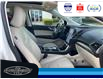 2022 Ford Edge Titanium (Stk: SP00167P) in Leamington - Image 19 of 35